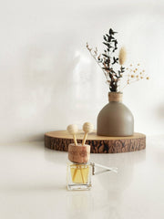 Car Diffuser – Citrus & Spice