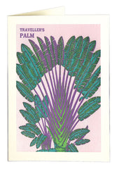 Palm print - National History museum collection