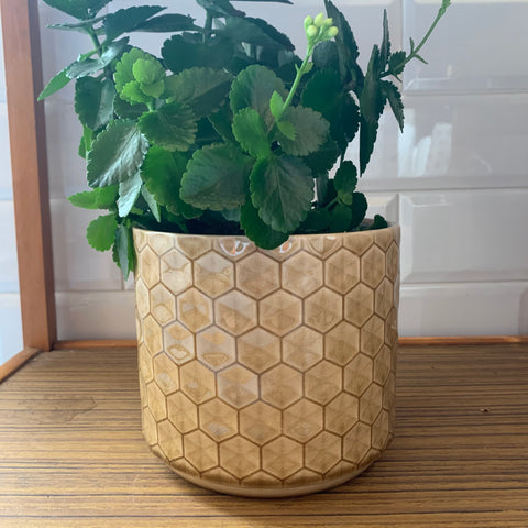Sand Honeycomb Ceramic Pot Medium