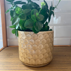 Sand Honeycomb Ceramic Pot Medium